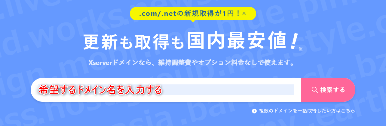 3-エックスドメインでのセルフバックするときにも最初に希望するドメイン名を入力したよ