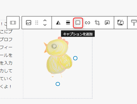 18-プロフィール画像にキャプションを挿入する