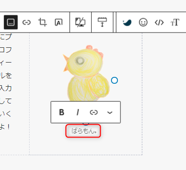 19-プロフィール画像にキャプション入力完了