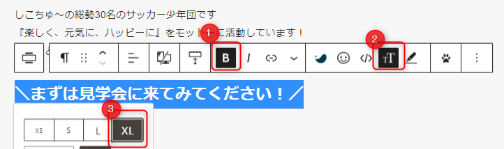 7-必要に応じてテキストサイズを変更